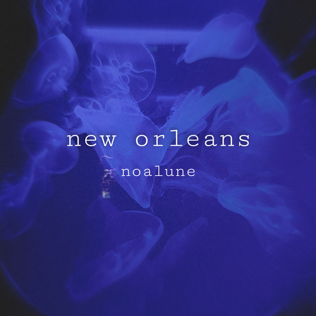 New Orleans cover